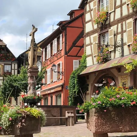 Cosy Avec Balcon Avec Parking Gratuit Proche Centre Sportif Et De La Route Des Vins Alsace Apartment Mulhouse